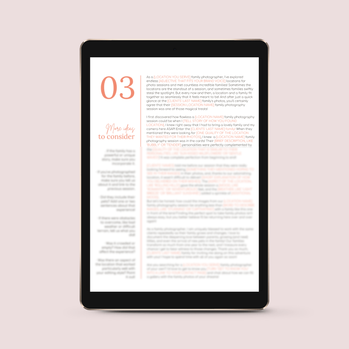 The Family Photographer’s Essential Collection of Blog Post Templates
