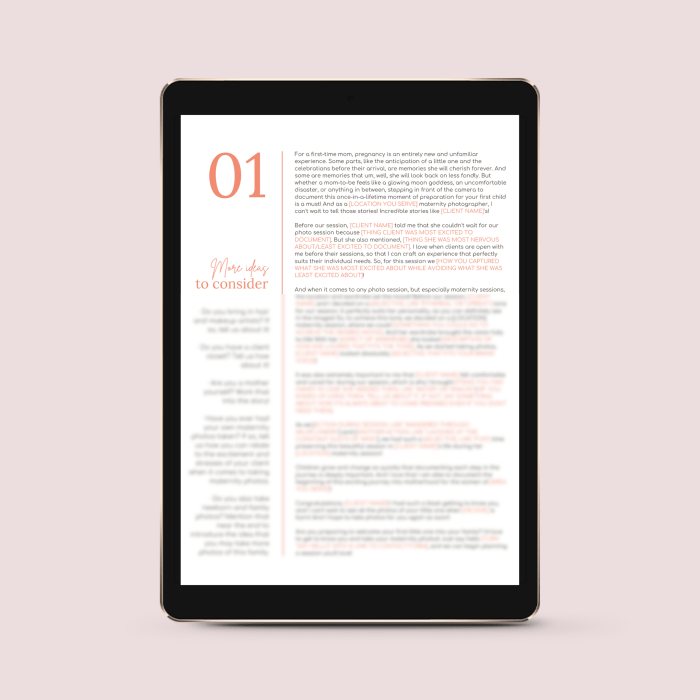 The Maternity Photographer’s Essential Collection of Blog Post Templates