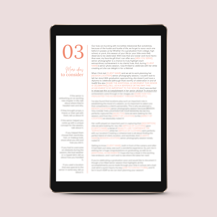 The Senior Photographer’s Essential Collection of Blog Post Templates