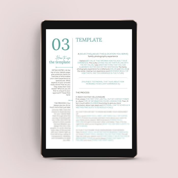 The Family Photographer’s Essential Collection of Web Page Templates